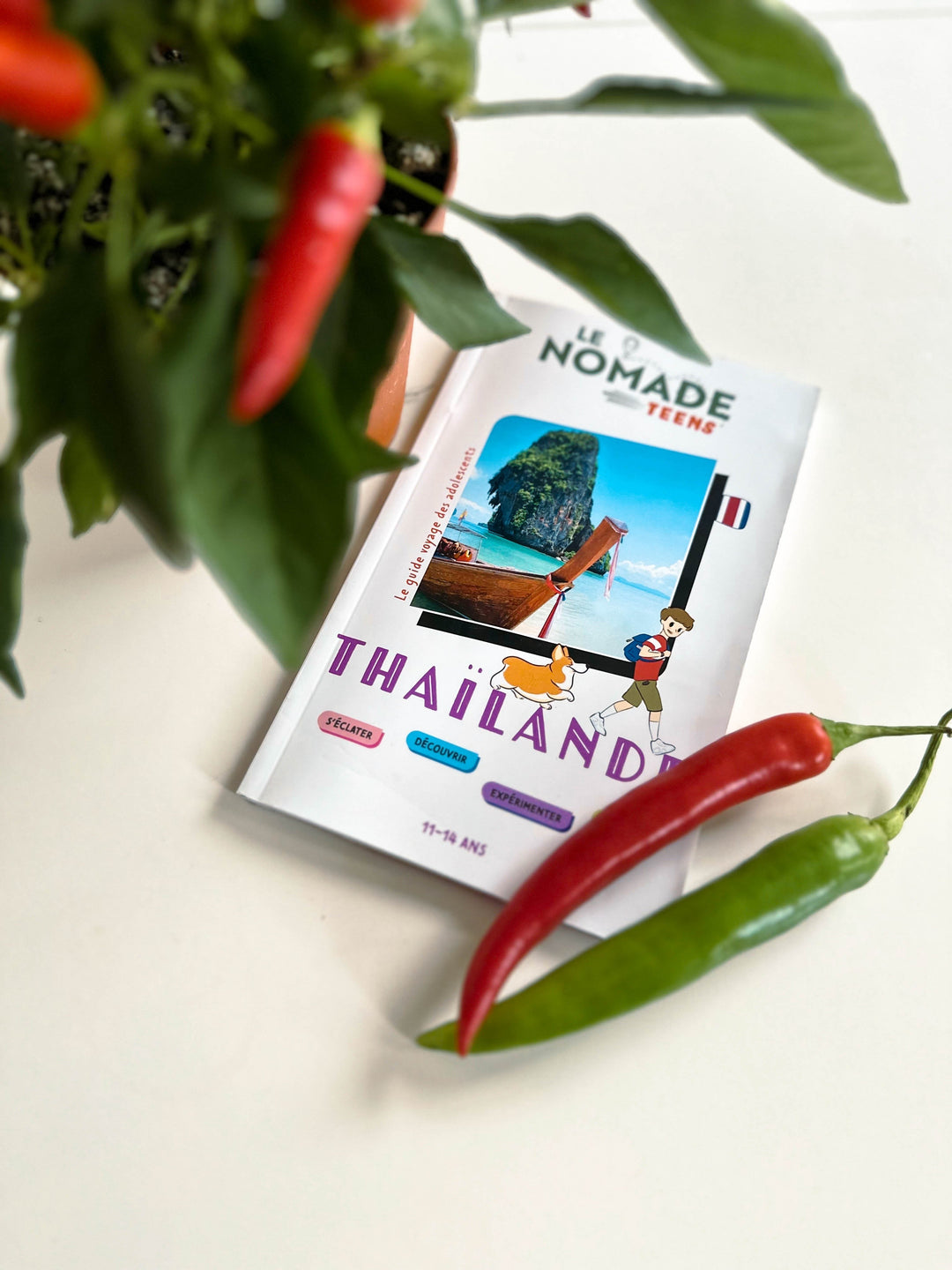 Guide de voyage jeunesse